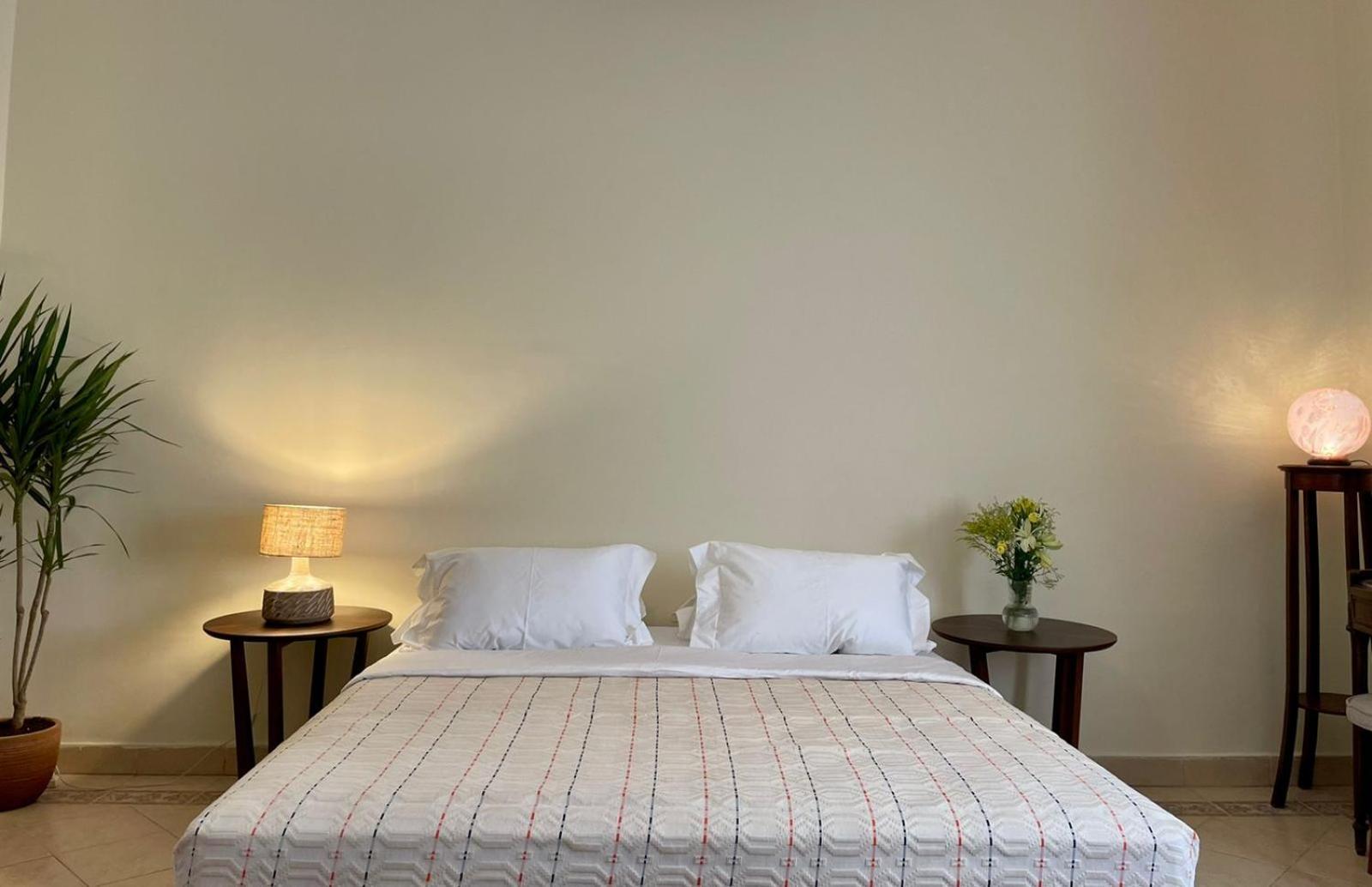 Luxury On The Nile - Zamalek Apartments Каир Экстерьер фото